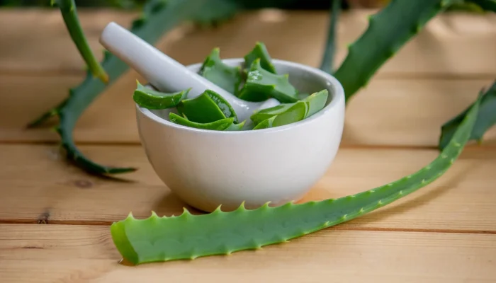 Natural Remedies for Hair Growth – Aloe Vera Natural Remedies for Hair Growth - Aloe Vera