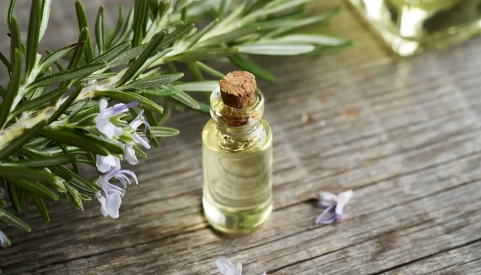 Natural Remedies for Hair Growth – Rosemary Oil Natural Remedies for Hair Growth - Rosemary Oil